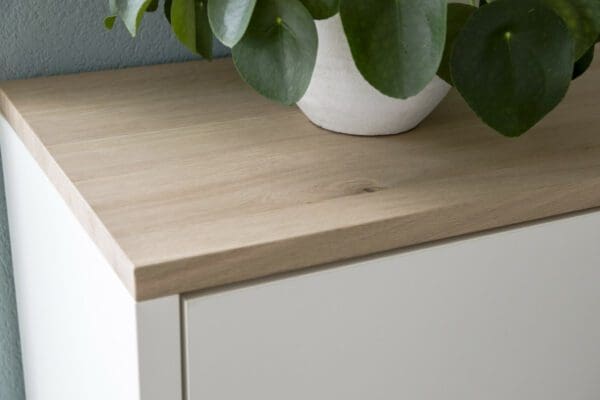 Alternative view of Kast Costumista