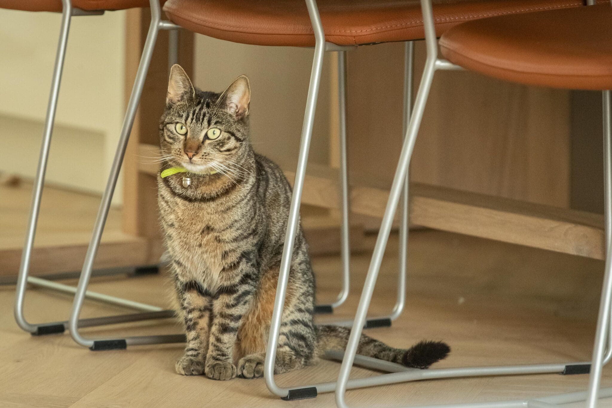 Eettafel Solido - Afbeelding 5