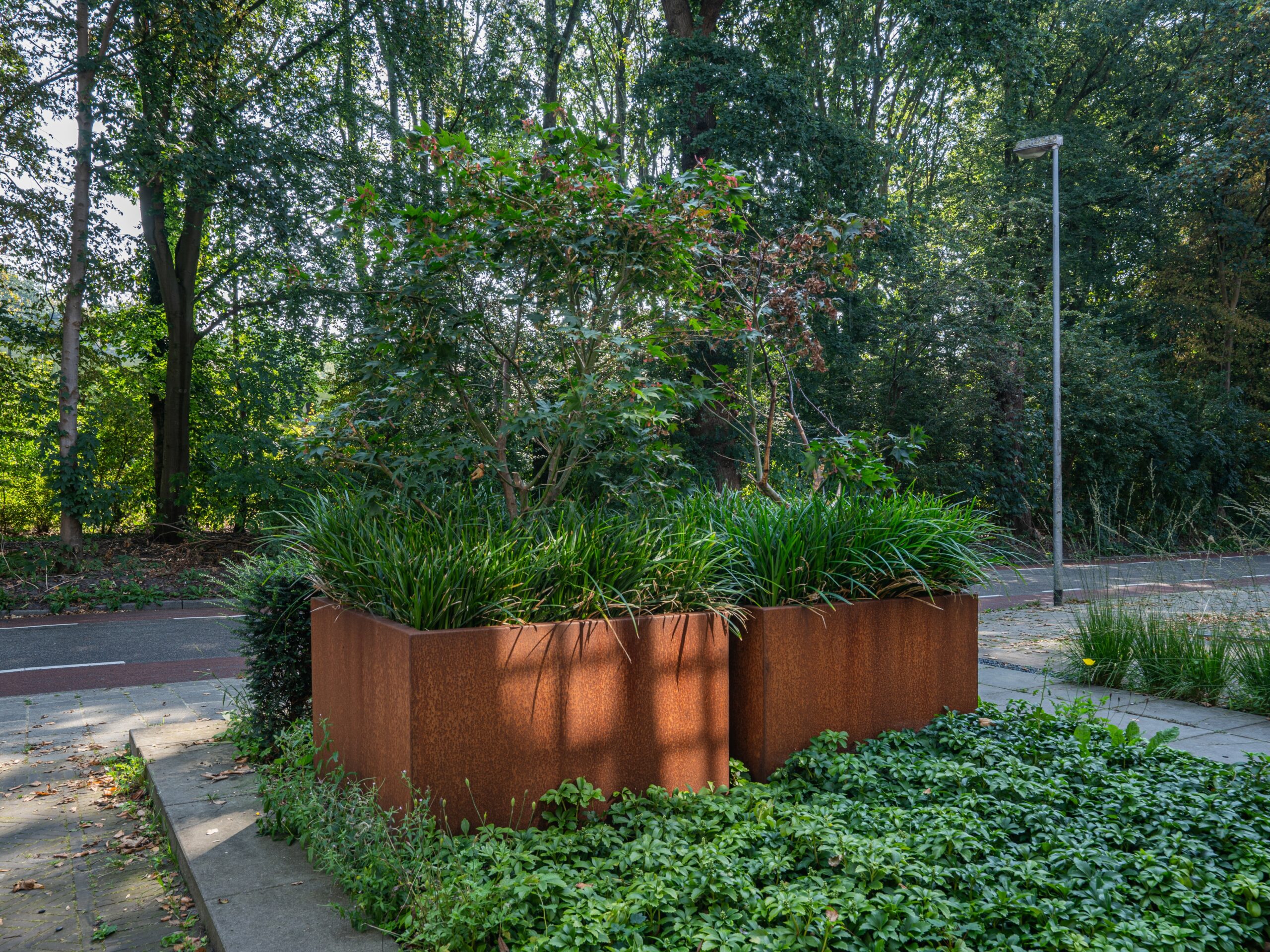 Plantenbak Verde